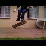 BS Pop Shuv-It